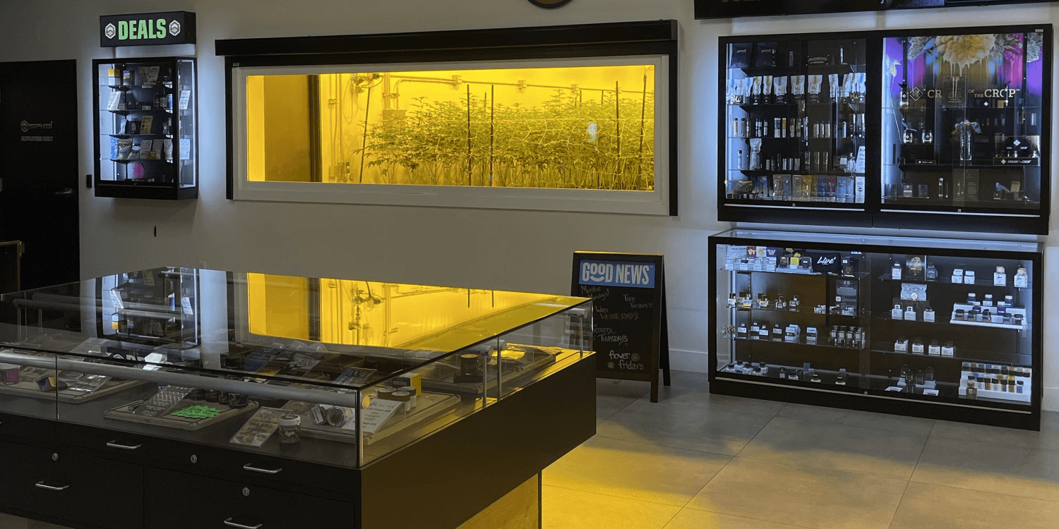 Inside Sipkoi dispensary showcasing our on-site cultivation room with thriving cannabis plants under golden grow lights