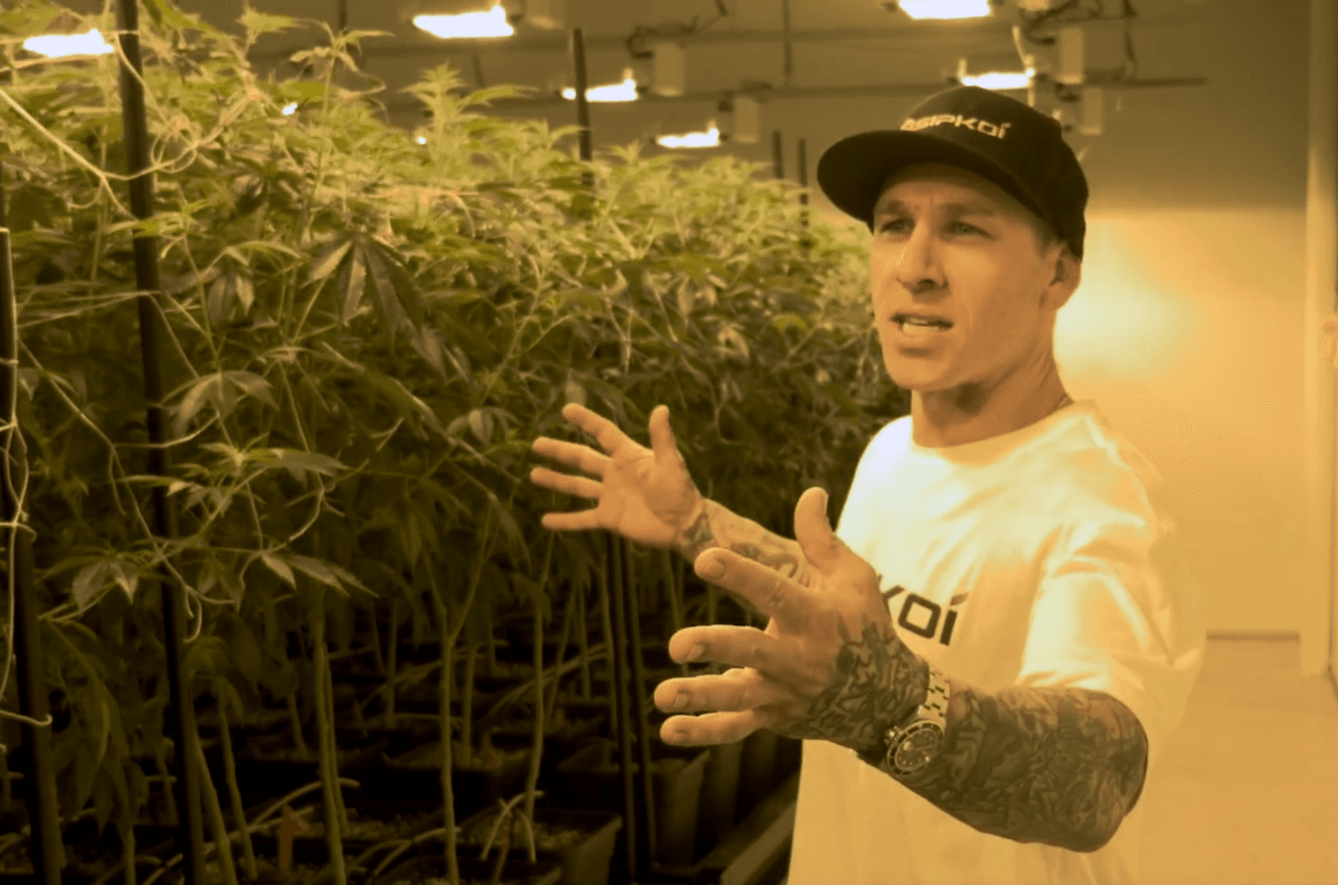 Derek Sipkoi in the cultivation room showcasing our on-site grow operation